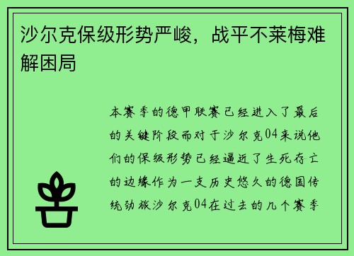 沙尔克保级形势严峻，战平不莱梅难解困局